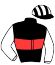 Casaque de YOUNG CHAMPION