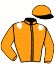 Casaque de RUNNER LOBELL
