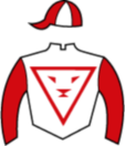 Casaque de VOLTAJE