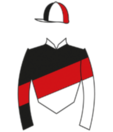 Casaque de NOTABLE ISLAND