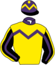 Casaque de STORMY WIND