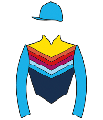 Casaque de GREAT AND SPLENDID