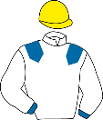 Casaque de THE GREAT RACING