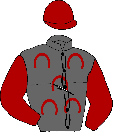 Casaque de VERSALLES