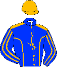 Casaque de PETKOVIC