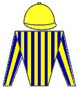 Casaque de HEROI DE OURO