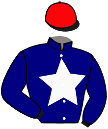 Casaque de NICKEL DU GOUTIER