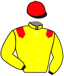 Casaque de GRAND YAKA