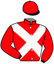 Casaque de KING FLY