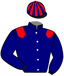 Casaque de MUSE FLIGNY