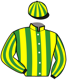 Casaque de MIKADO