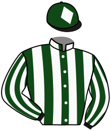 Casaque de DIVILSKIN