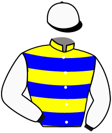 Casaque de NANA DES BRIERES