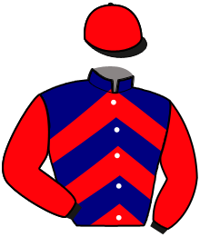 Casaque de JOYEUX DE L'INAM
