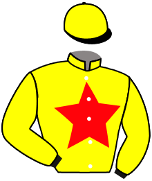 Casaque de HIGHFIELD DREAM