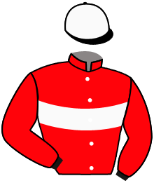 Casaque de FELINI