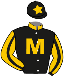 Casaque de KANZASHI