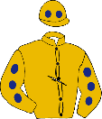 Casaque de SPARCO