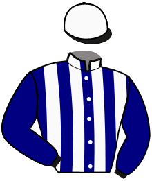 Casaque de GALEO D'AMARO