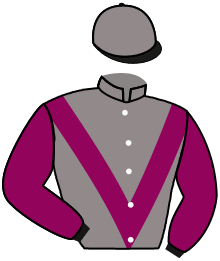 Casaque de PANZERINA