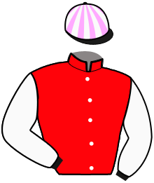 Casaque de HECTOR DE BASSIERE