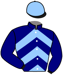 Casaque de KRACK DES VIGNES