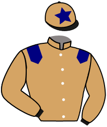 Casaque de MAVERICK PREMIER