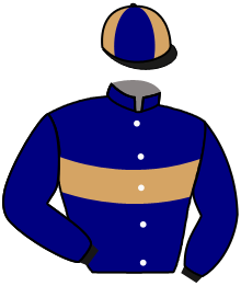 Casaque de PRINCE DES VILLES