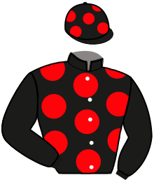 Casaque de LAHANNA DESBOIS
