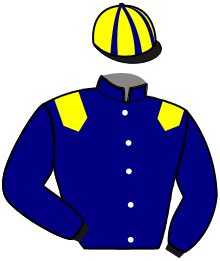 Casaque de MISTER DAIRPET