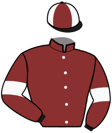 Casaque de JOKER D'OLAINE