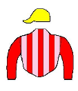 Casaque de BICHOTA