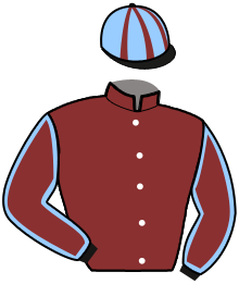 Casaque de NYDAM DE FELLIERE