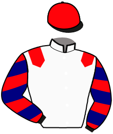 Casaque de IRON DU GERS
