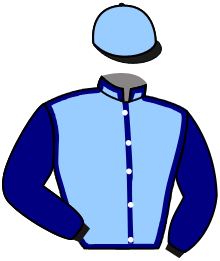 Casaque de ANDARTIS