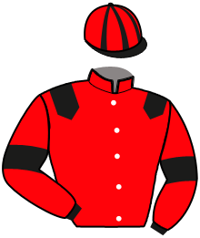 Casaque de LANDSMAN