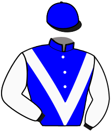 Casaque de HORSY ROYAL