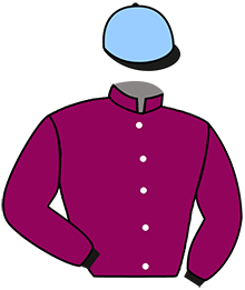 Casaque de EL LAGAR