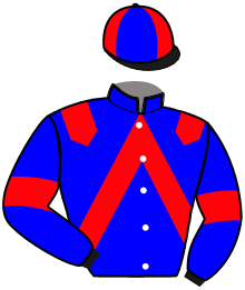 Casaque de JOYAU DU GRESSY