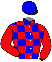 Casaque de LE PRINCE