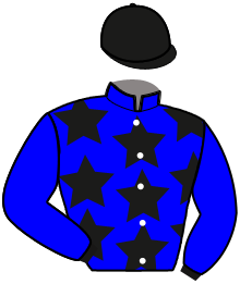 Casaque de HIT PERRINE