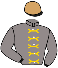 Casaque de AL GHAYDA