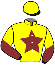 Casaque de NEGUS DES TORONS