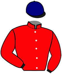 Casaque de MAITRE DU CHENE