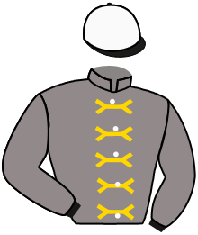 Casaque de ZAMHAREER