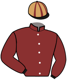 Casaque de IBLIS GEMA