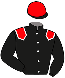 Casaque de NEW DREAM OF GLORY