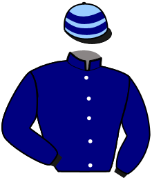 Casaque de JIOSCO DU PARC