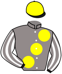 Casaque de SHINCO DU FICHEAU