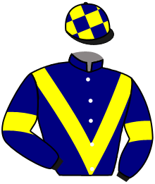 Casaque de ODINE